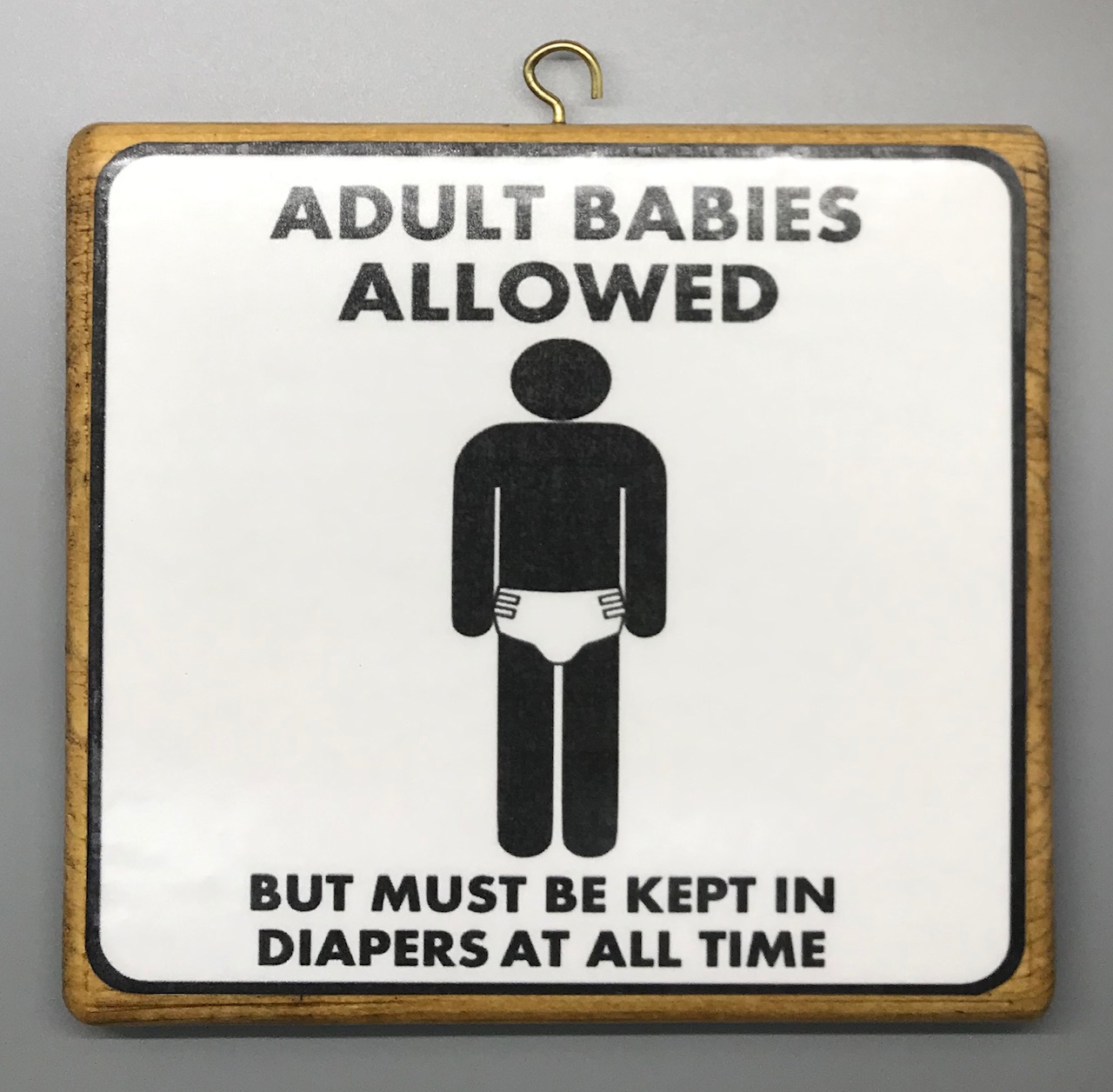 Adult Babies Allowed Plaque - Boy Version - Click Image to Close